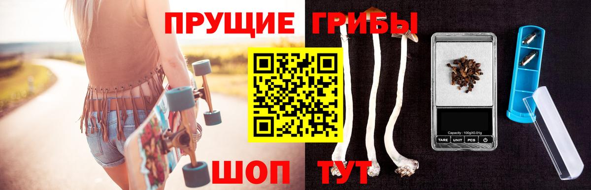 Псилоцибиновые грибы Psilocybine cubensis  Вход с VPN  Бийск 