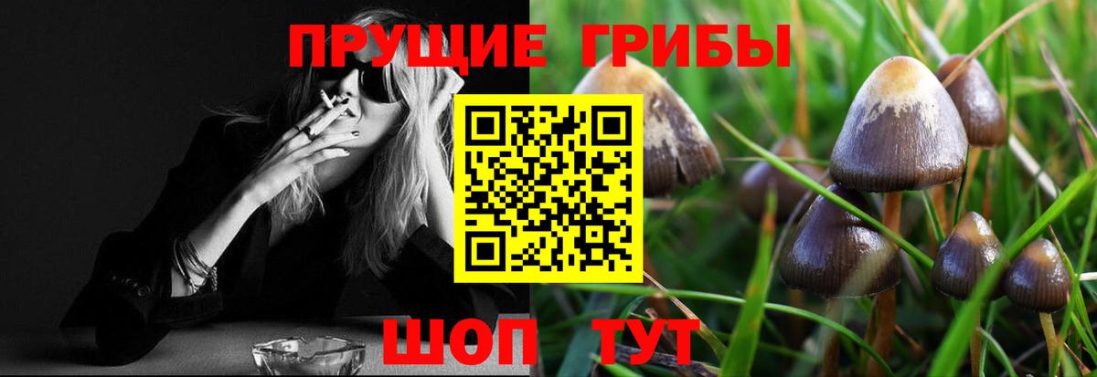 Псилоцибиновые грибы Magic Shrooms Бийск